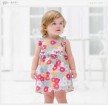 858 wholesale baby dress
